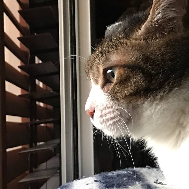 C4ffa14c ac37 44bc b4e7 ef4cd97ed480 1546685118019