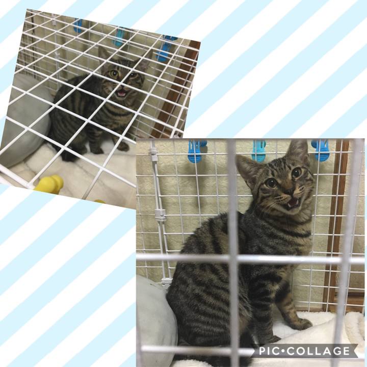 C4ffdf00 fb57 4943 bb13 3c468dde427c 1542762449137