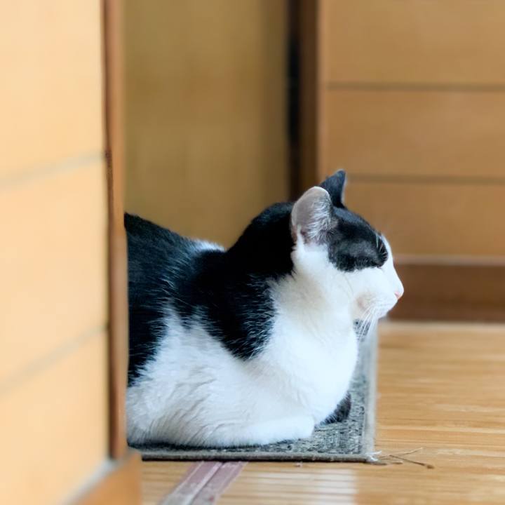 C4fff462 2f47 4e57 8f53 51f4ed14854f 1602122705540