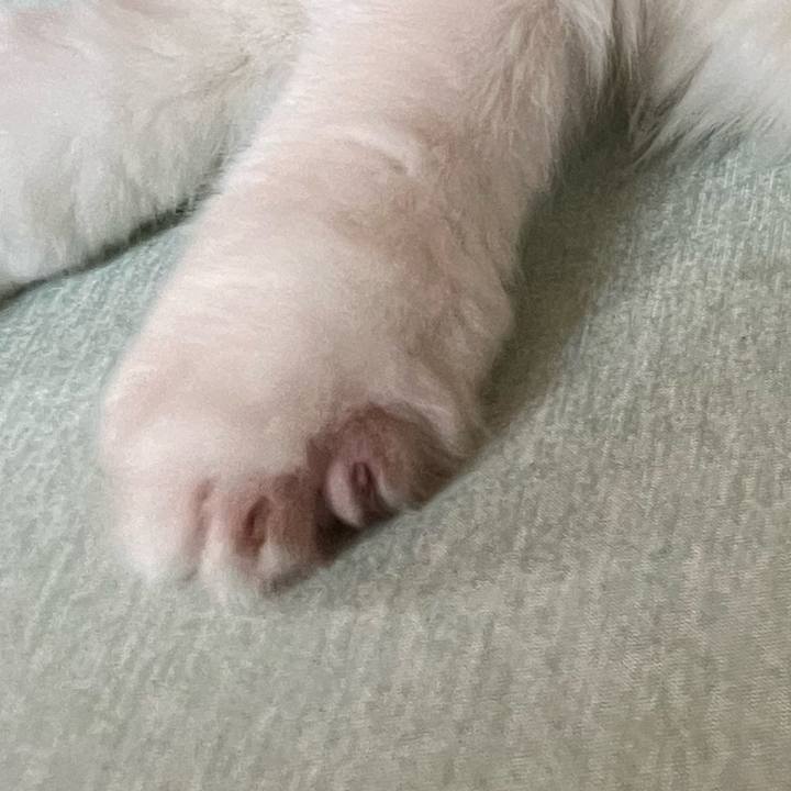 C4fff484 3dc1 4bf7 90c1 e5d11af5dc92 1727986719320