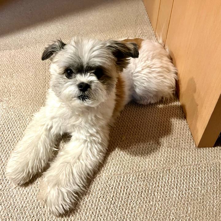 C50008cb 2fca 4e8e ace5 5375e45b791f 1652499802537