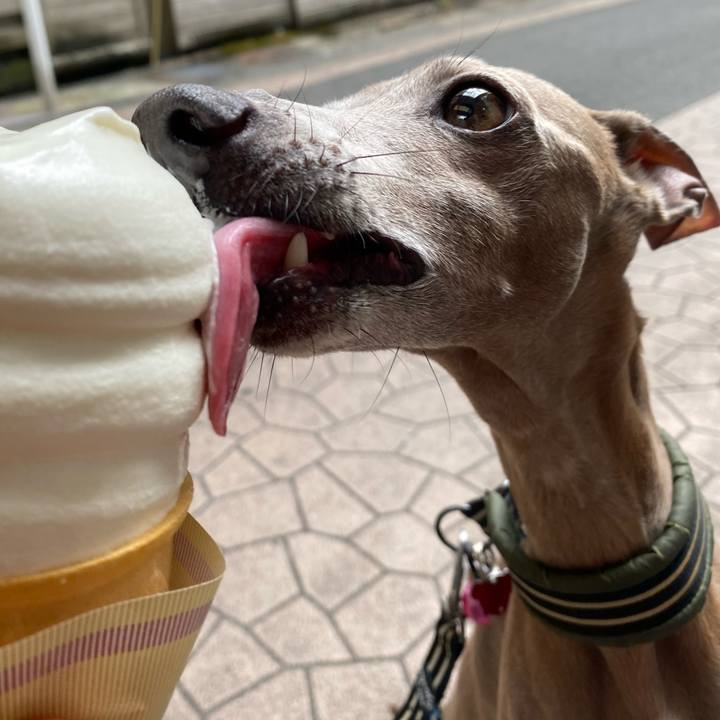 C5004d2a 61da 435e bdfa 785c6e115a1e 1758264195454