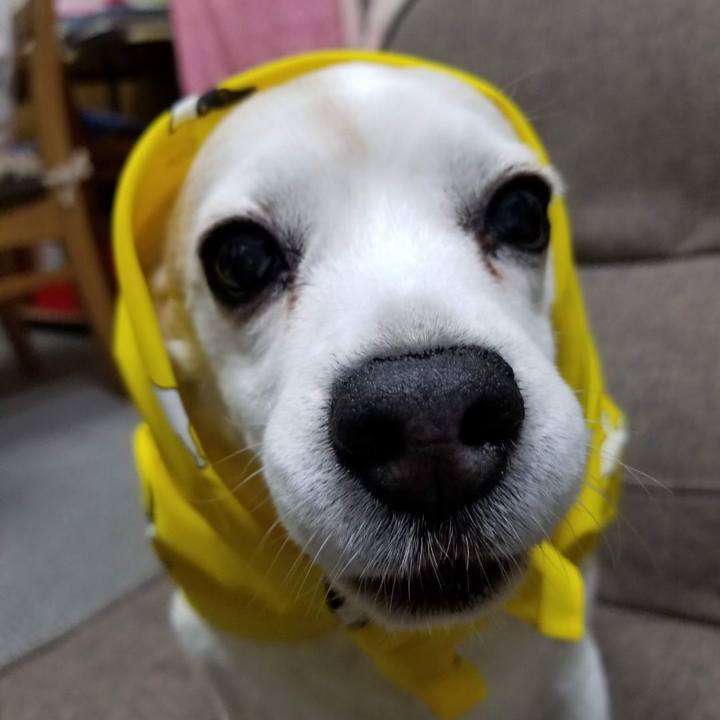 C5007468 22b0 4570 86cf cf0d7fd7fdba 1765236967846