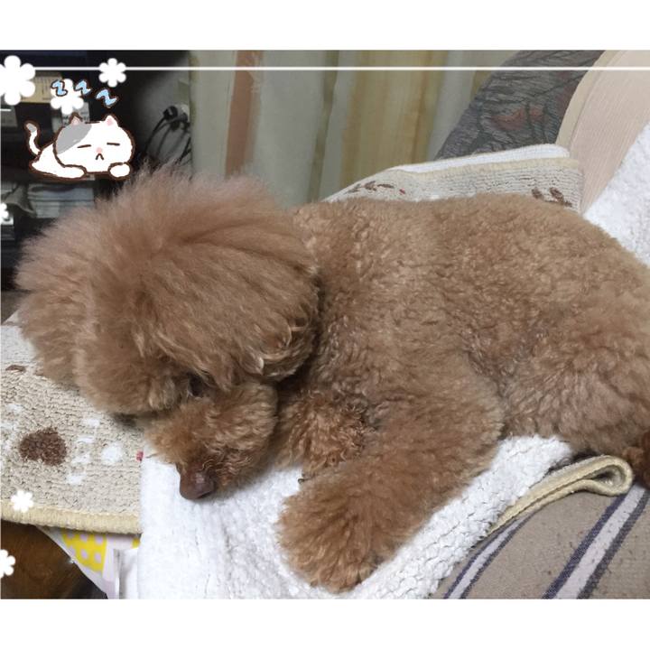 C5007fe3 c10d 4551 b11e 5dd81851805a 1524221466461