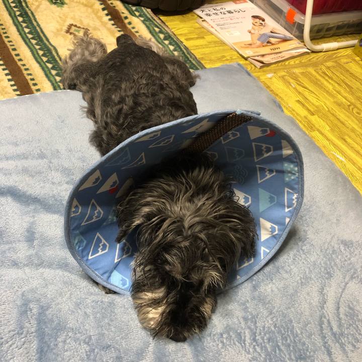 C50090ba 46a0 460b b3c1 5d6b9dfe3378 1686316500627