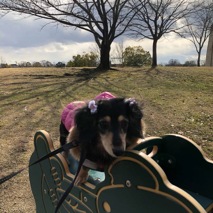 C500b14c d8ae 443f a2a5 1790c209c08a 1612854373055