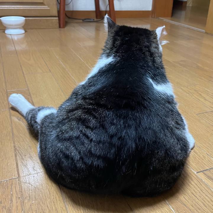 C500be8f 4433 4e27 833a 4ea25ac904c8 1684572762561