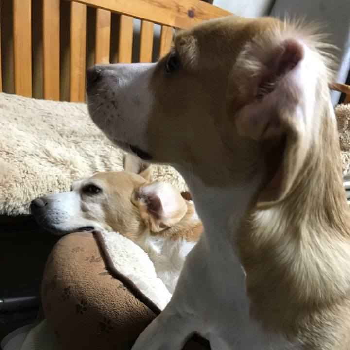 C500debb 0077 4308 855a d888a914a1f8 1517377687864