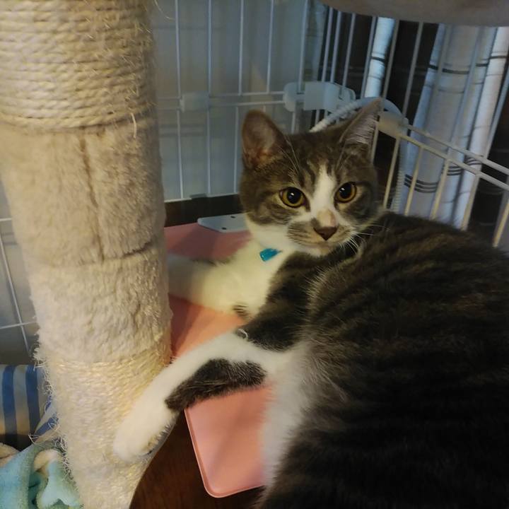 C500ee1d e093 44e6 b054 357299d6b0f8 1574465935781