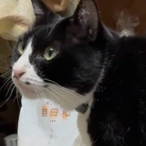 C500f435 d1f0 4ed6 8f66 ba0f2f190a07 1763720690796