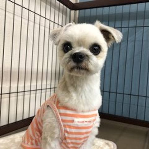 C5010a46 61bd 4de6 ae96 dab30da367ae 1532092509329