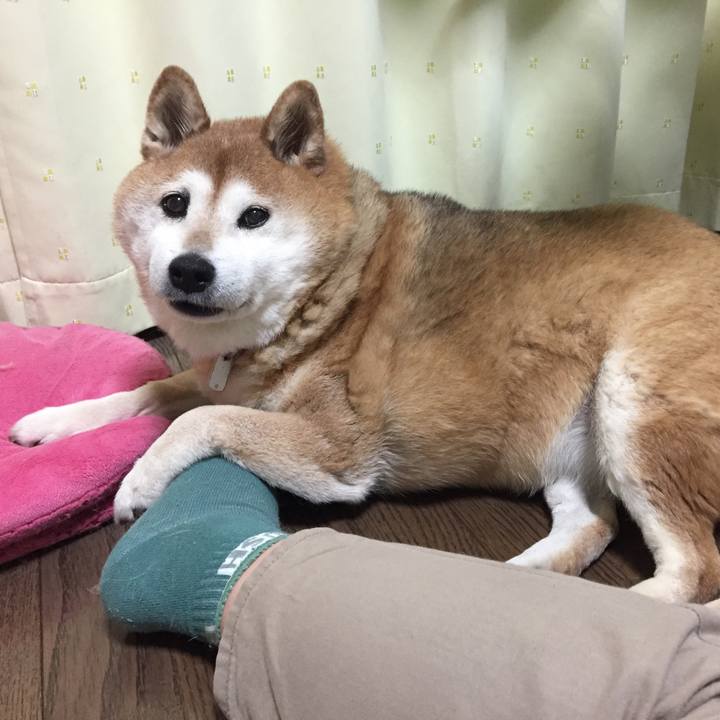 C5012f32 6c40 4277 b815 57a898c9b31f 1555591115316