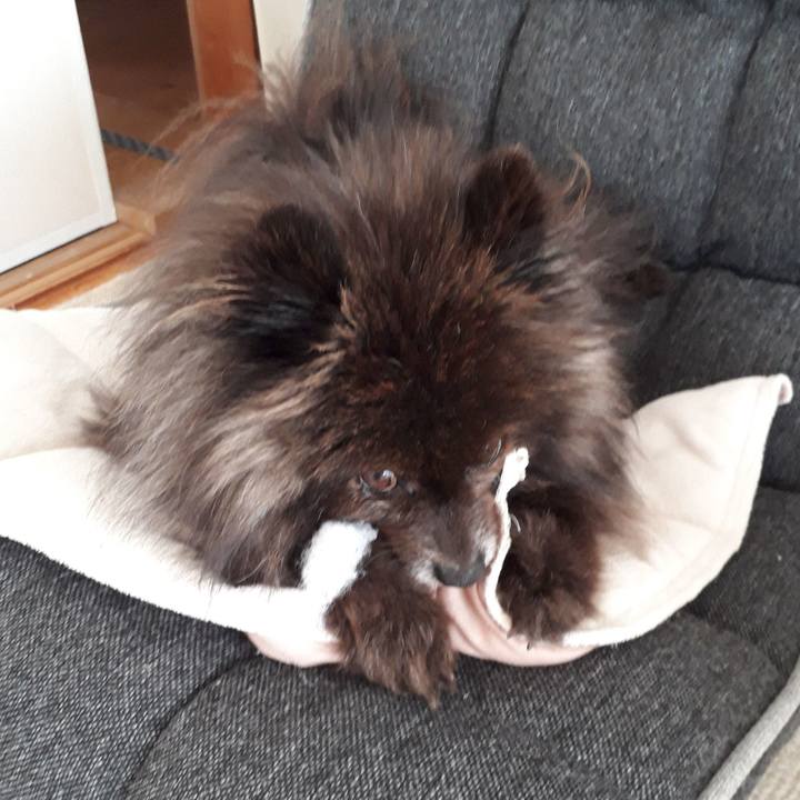 C50137f3 5a42 40ec 8a3f 5958a2eadf02 1519872623289