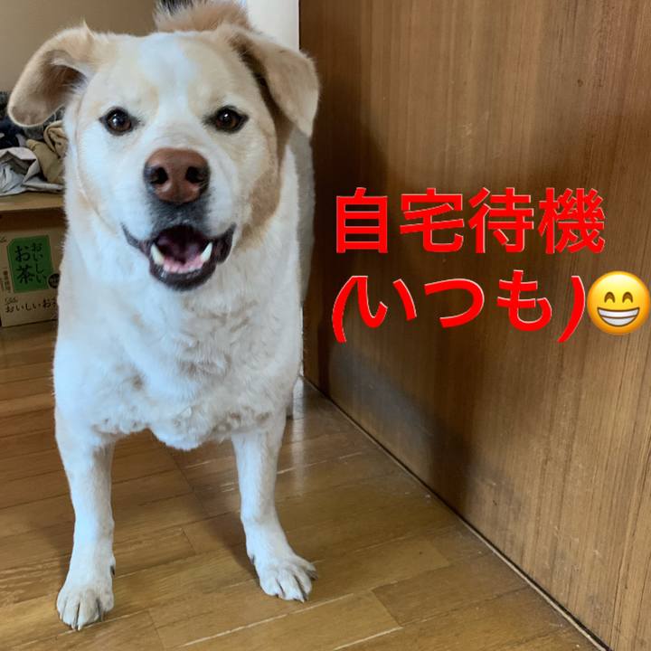 C5014a98 b727 4d6a 8ce9 b0cdec2e53b5 1586481493172