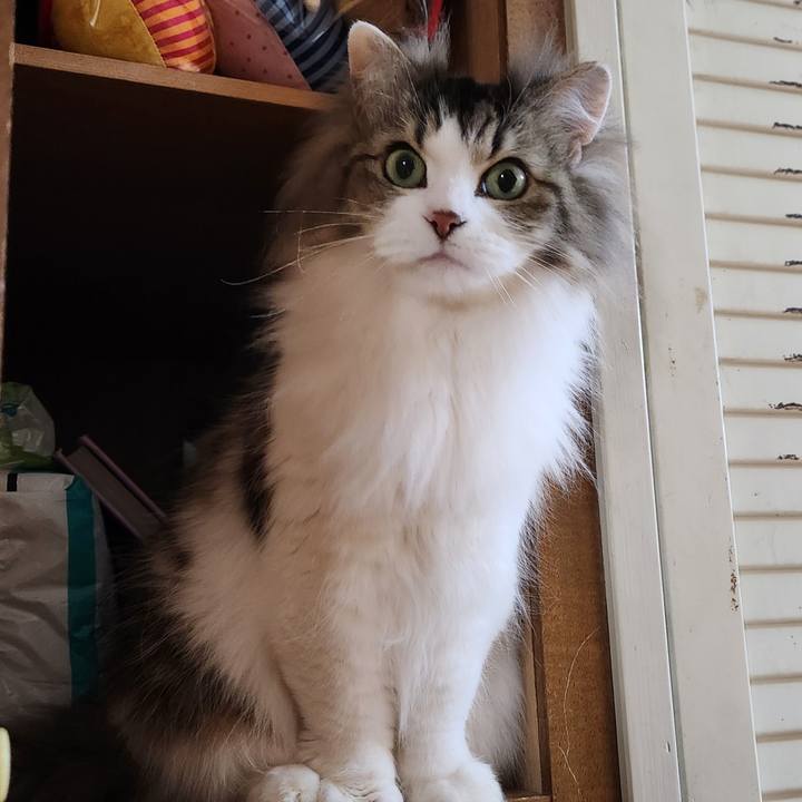 C5017622 acc3 4f20 8a69 f957f4201958 1773496940627