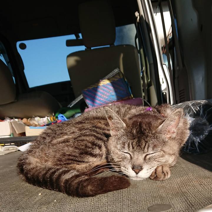 C50195b6 b9f7 4bcb a07f bbacfe4d177e 1591479677082