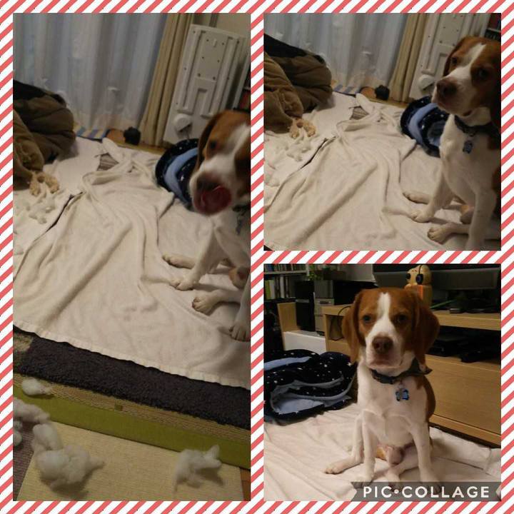 C501a5ba 0569 4e93 ba02 93a3b7b46bae 1591432402388