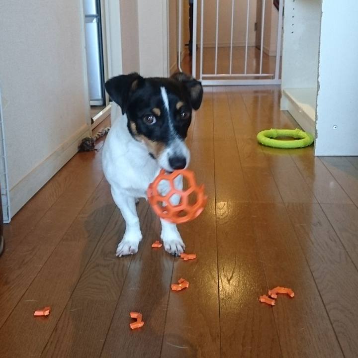 C501b654 67ec 4f7f a9af 7f9878a89418 1530404856970