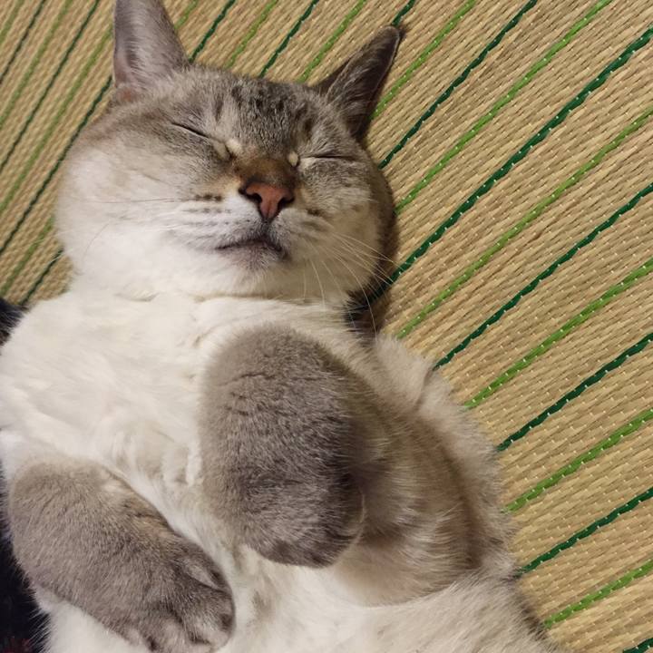 C501d38b ed90 4a35 97ec bd0c1441a7db 1537450211770