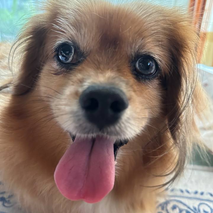 C50215bc 5f70 42f5 b3ee 03c0d77d405d 1755296720237