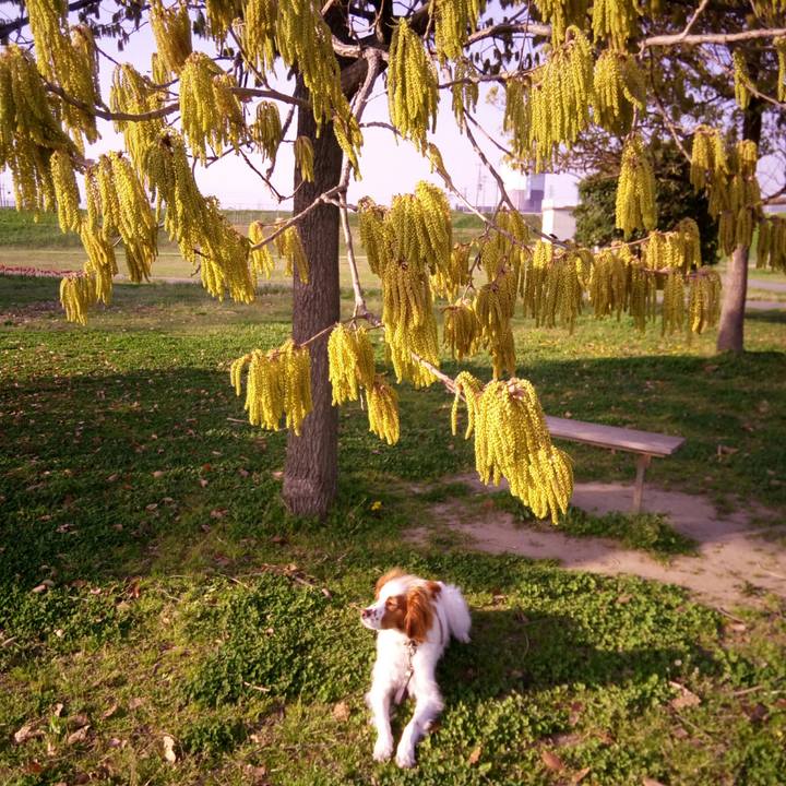 C5025a8e 292f 4ee4 b758 77e588590270 1522756026654