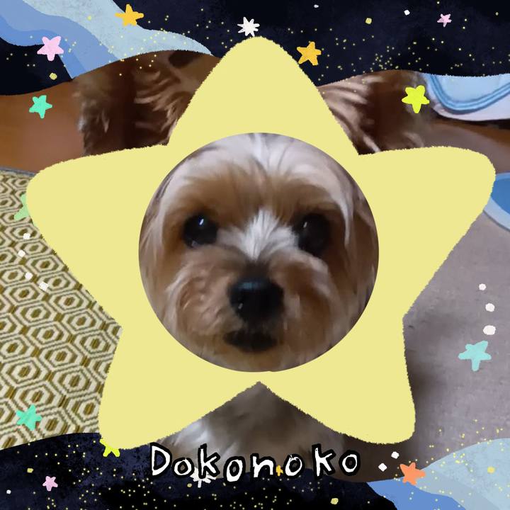 C5028077 238d 4673 8d3d a62256dbb9ff 1721219080752