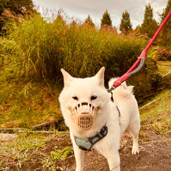 C502a17c 8fe6 4a1b af64 168e9ee0e43d 1758317144882