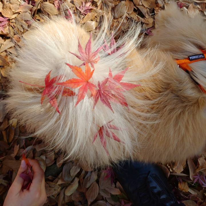 C502a239 094b 403d 8d5f e85ae9eb72b6 1735278379561