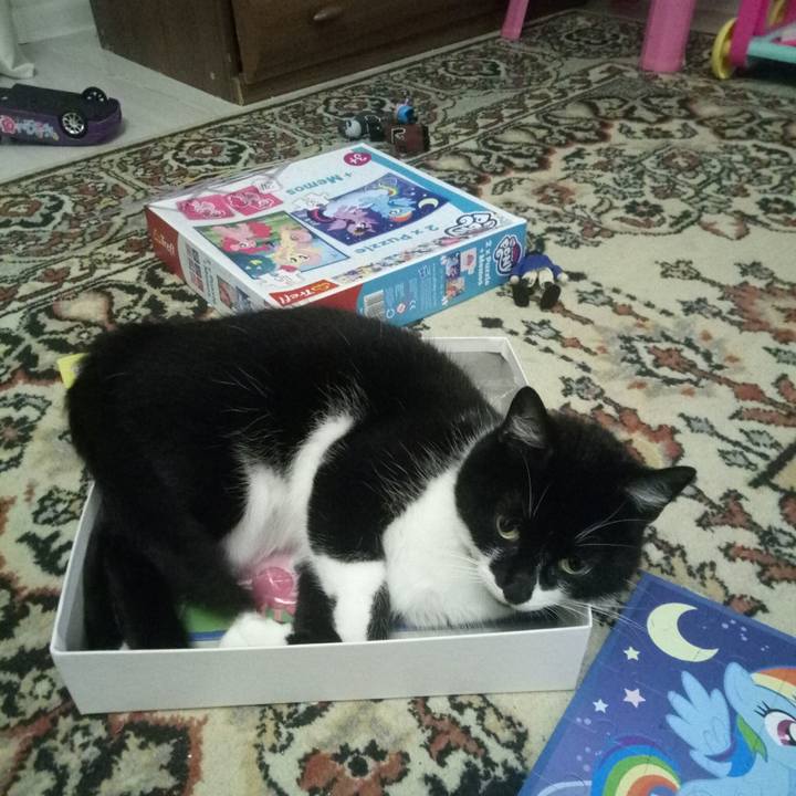 C502ded5 840a 4b28 b3dd 2fd875ecc552 1540829169196