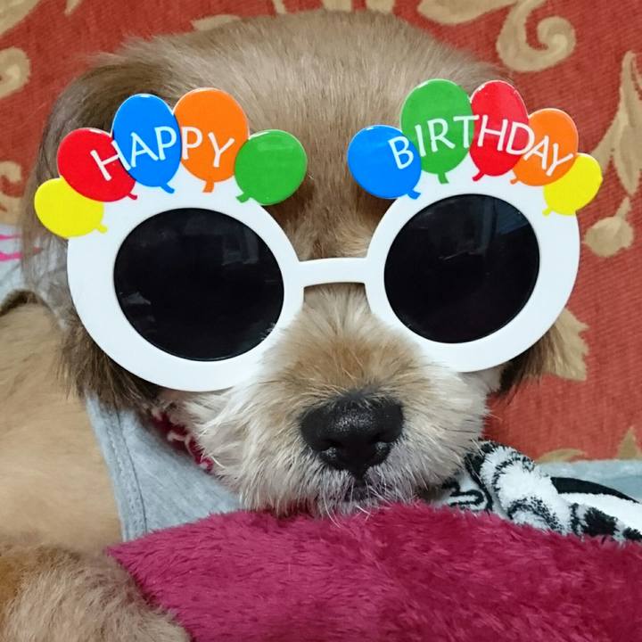 C502fc75 2dfa 44df a531 120b0a97f063 1513804474358