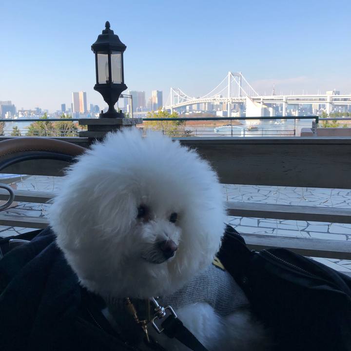 C5032869 726a 4478 ae72 a2c333efe698 1512909676153