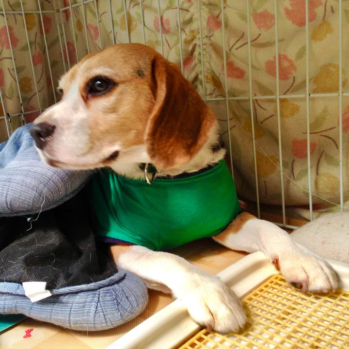 C5034c7c 7d14 479e ba6a e736a9dd71c9 1752273843386