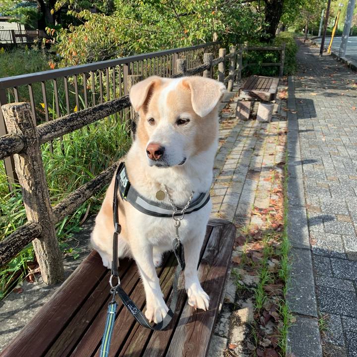 C5035859 34a5 484b 9035 129e06e85aed 1603781209003