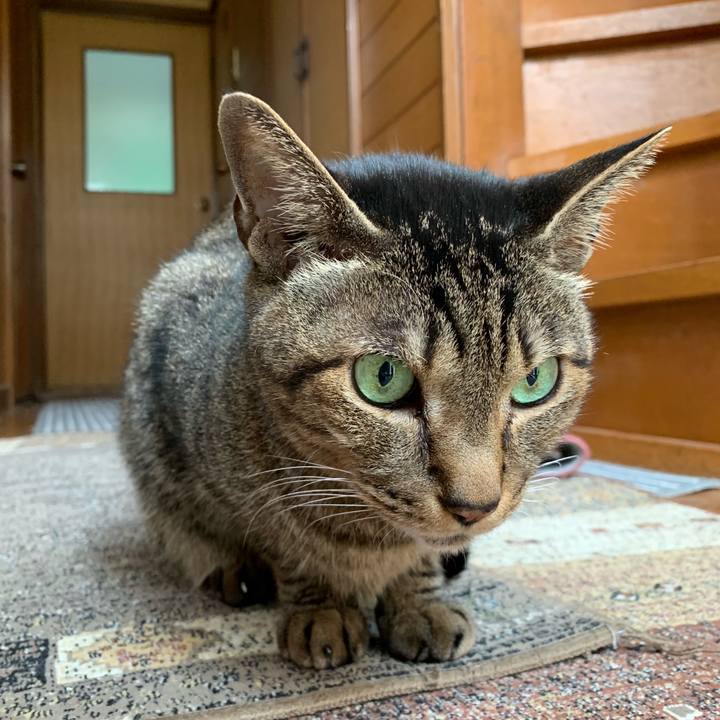 C5035c70 8c9f 47ea b90c 072f4e90f309 1554601073463