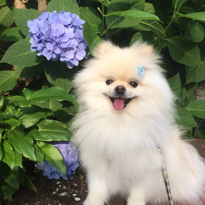 C5038f77 4bfa 4e1e ae41 d4ad8dbbe96d 1591308900585