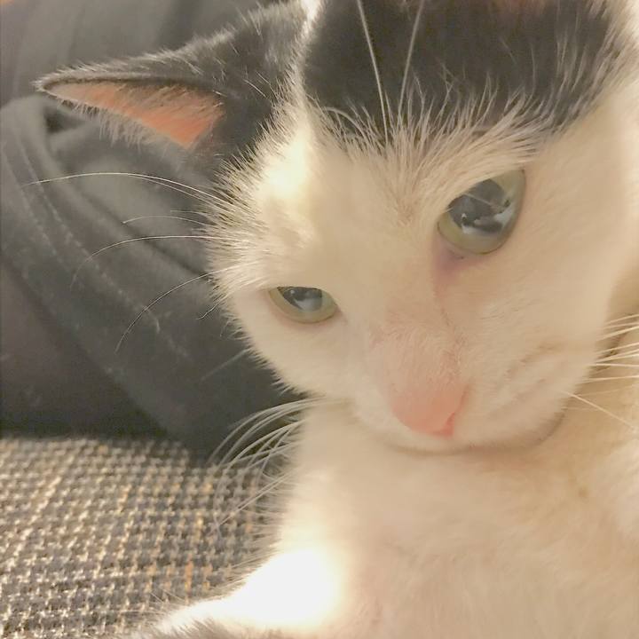 C5039ce7 690c 4c72 8da5 7331d5630a60 1556454077686