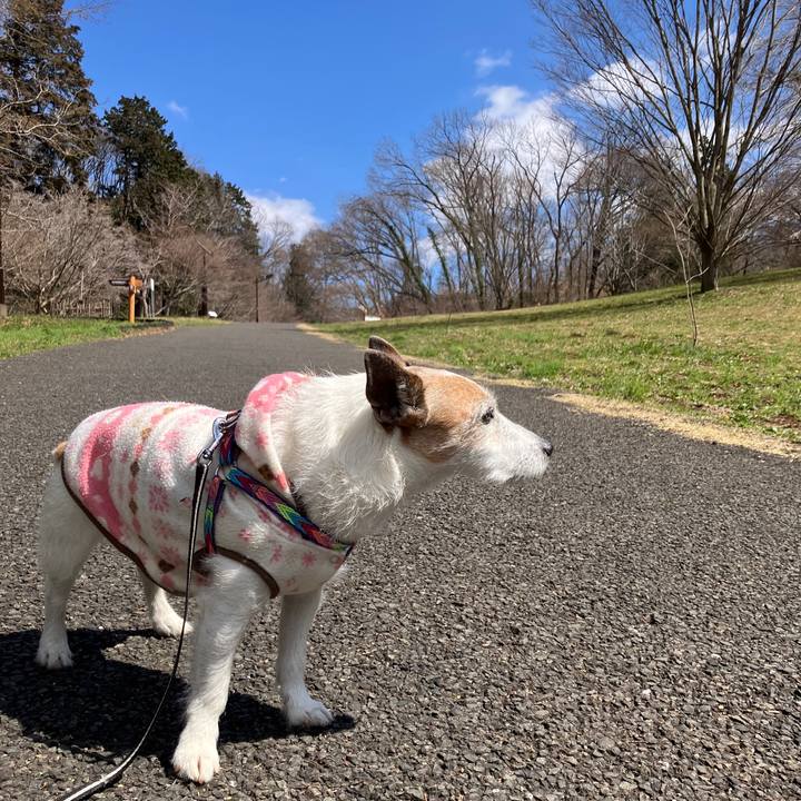 C503ba92 d549 4821 900d aae644ff859b 1742605106696