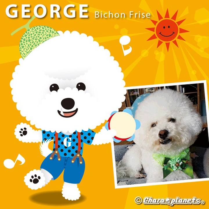 C503c320 a815 4ae4 9dd8 6e17bdb1e315 1560475036823