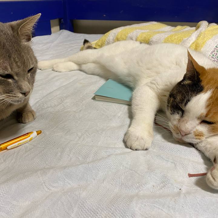 C503db5f 6b0e 4f00 9f0d ad3392eeb6c0 1591948977520