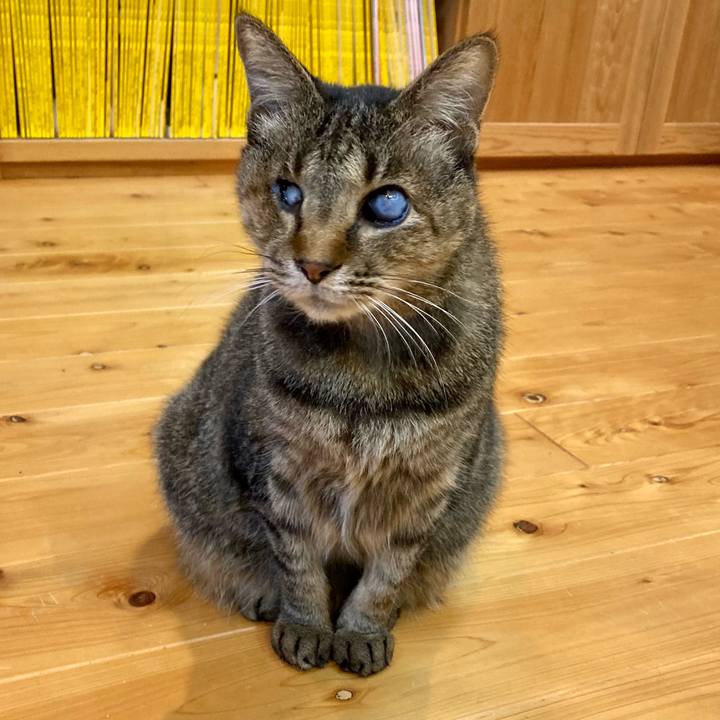 C503fc97 4cdf 4564 8c55 62baf67978ed 1670415168015