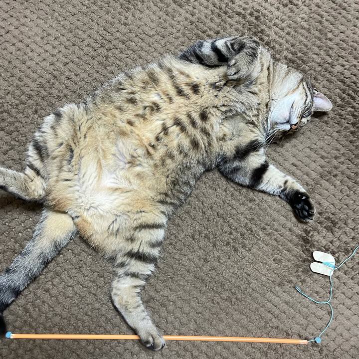 C503fe9e 0982 4d46 9e40 7553831432ea 1626775654512