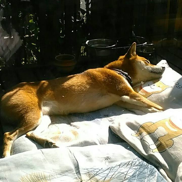 C5041e5a 50b1 4460 9062 46e1e8765a71 1540184391521