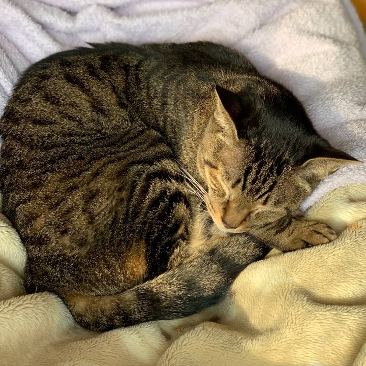 C5044431 9244 43b4 8485 ab5df35a1539 1581036905834