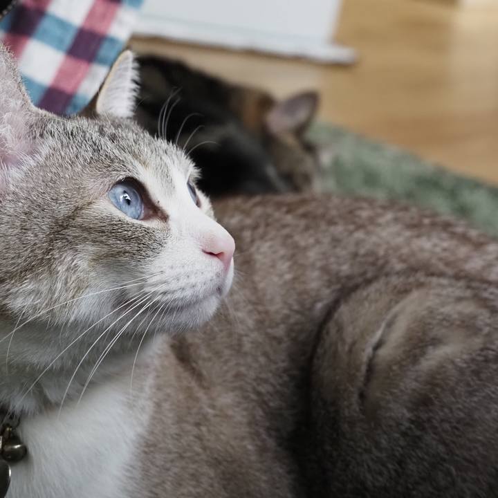 C504692e 71e1 4a91 8277 2071f17f3cb6 1616230116190