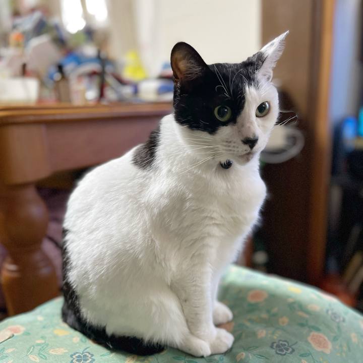 C504aeb6 c67a 4769 96e1 cf9397bf6874 1763592635208