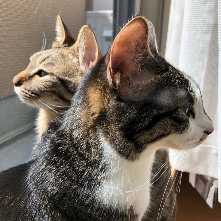 C504b63d 5464 4038 88e8 8178347d6a99 1521130487901