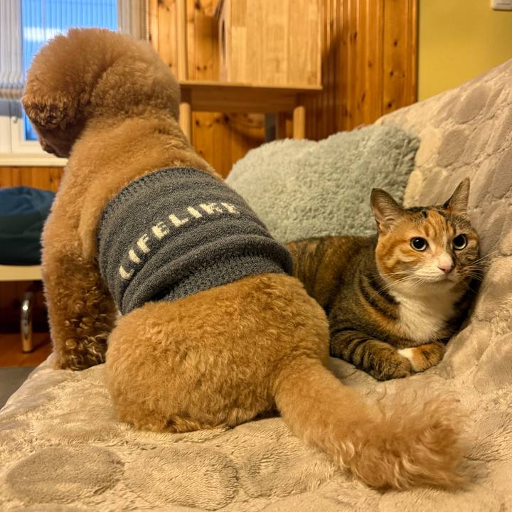 C504b75e cd49 4c05 99d1 f92fb753d27c 1769208492152