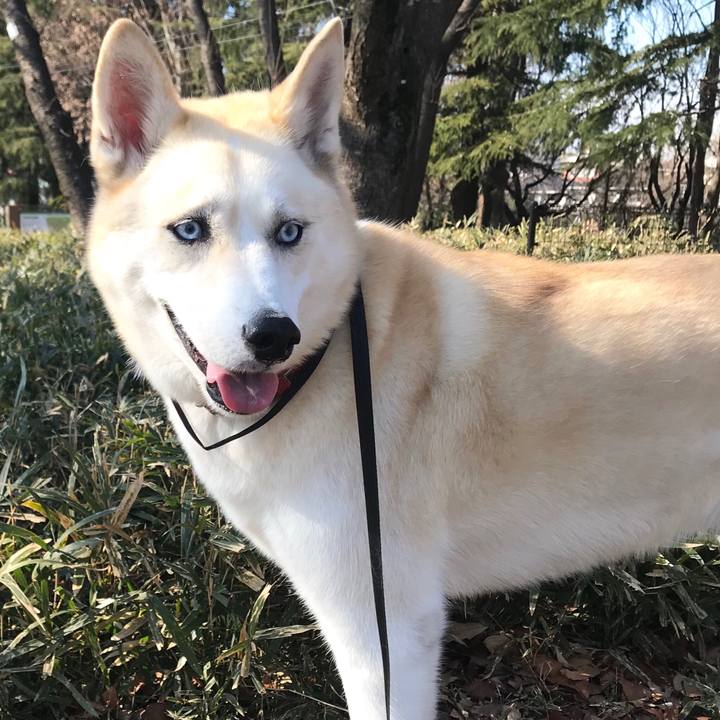 C504ec99 d87b 4457 a031 3041495a847d 1548117648394