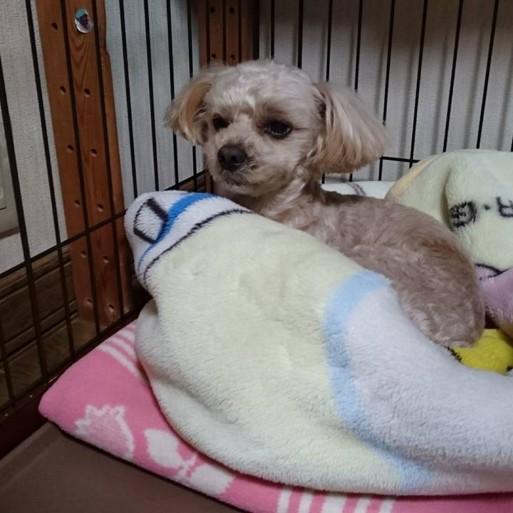 C5051090 ab83 47ae a46f a1cd21b118b7 1580105565097