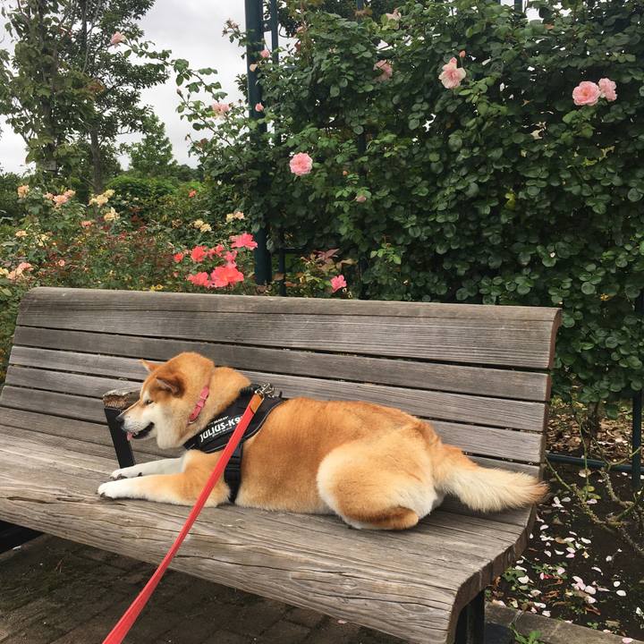 C5053393 762d 4074 a88a 893485c4fa58 1595997340109